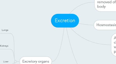 Mind Map: Excretion