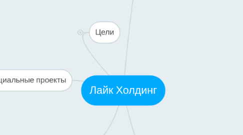 Mind Map: Лайк Холдинг