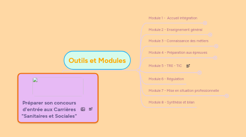 Mind Map: Préparer son concours d'entrée aux Carrières "Sanitaires et Sociales"