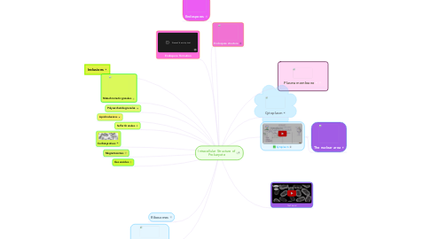 Mind Map: Intracellular Structure of Prokaryote