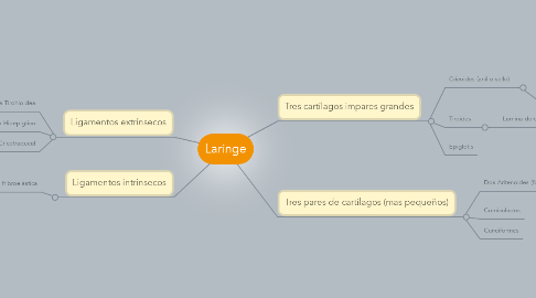 Mind Map: Laringe