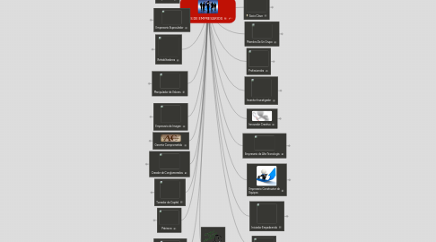 Mind Map: TIPOS DE EMPRESARIOS