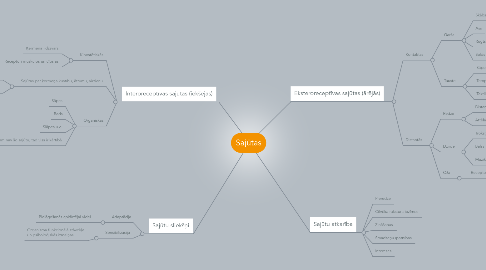 Mind Map: Sajūtas