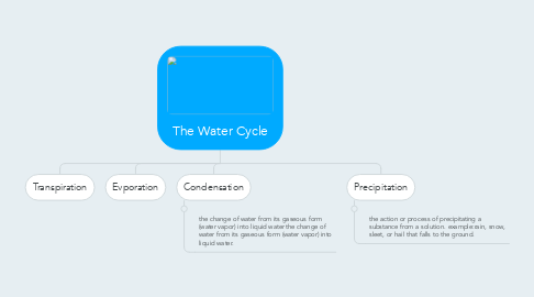 Mind Map: The Water Cycle