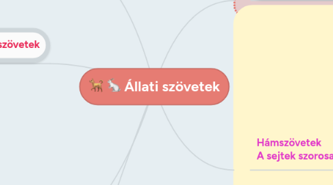 Mind Map: Állati szövetek