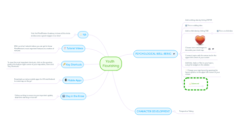 Mind Map: Youth Flourishing