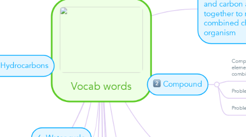 Mind Map: Vocab words