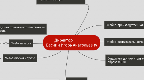 Mind Map: Директор Веснин Игорь Анатольевич