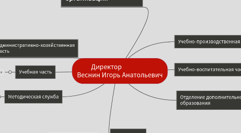 Mind Map: Директор                  Веснин Игорь Анатольевич