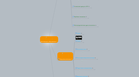 Mind Map: Цели высшего образования