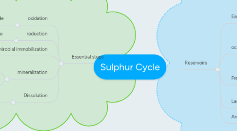 Mind Map: Sulphur Cycle