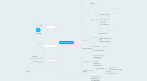 Mind Map: Управление проектами