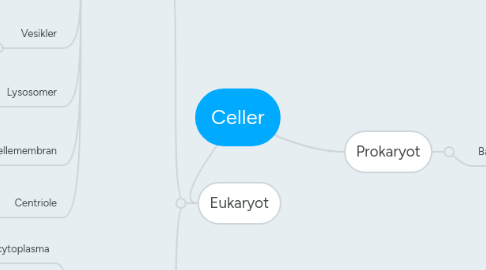 Mind Map: Celler