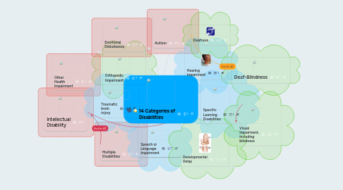 Mind Map: 14 Categories of Disabilities