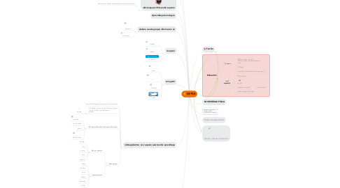 Mind Map: MI PLE