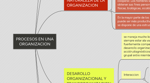 Mind Map: PROCESOS EN UNA ORGANIZACION