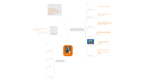 Mind Map: FILOSOFÍA