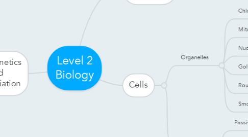 Mind Map: Level 2 Biology