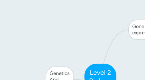 Mind Map: Level 2 Biology