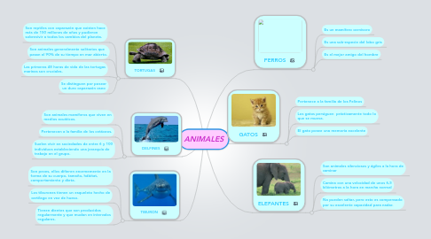 Mind Map: ANIMALES