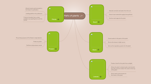 Mind Map: Parts of plants