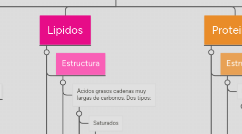 Mind Map: Biomoléculas.