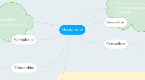 Mind Map: Metabolismo