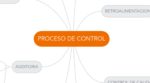 Mind Map: PROCESO DE CONTROL