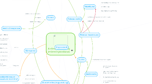 Mind Map: A római köztársaság intézményrendszere