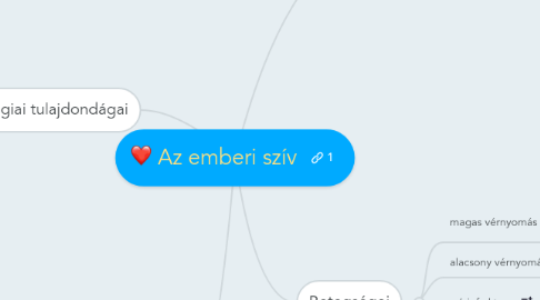 Mind Map: Az emberi szív