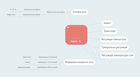 Mind Map: Кров