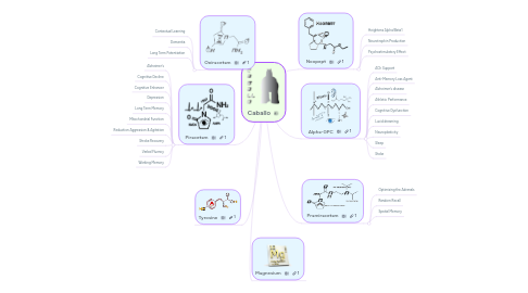 Mind Map: Caballo