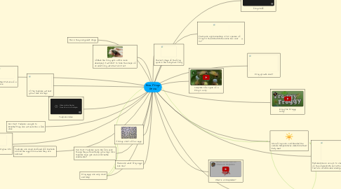 Mind Map: How Frogs Grow