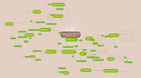 Mind Map: Carbon and the Molecular Diversity of Life