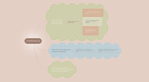 Mind Map: COMPETENCIAS