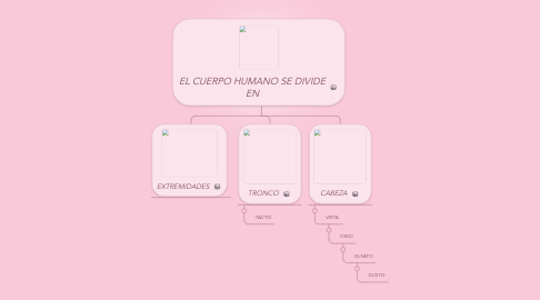 Mind Map: EL CUERPO HUMANO SE DIVIDE EN