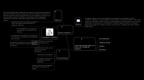 Mind Map: Estudios Cualitativos