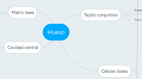 Mind Map: Hueso