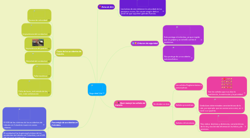 Mind Map: Seguridad Vial