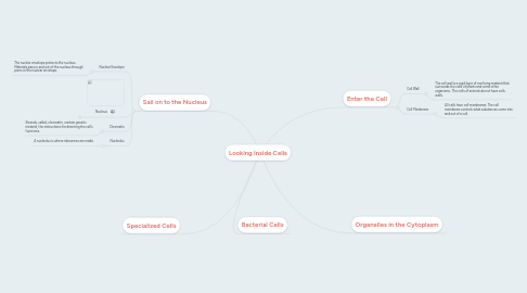 Mind Map: Looking Inside Cells