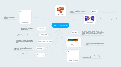 Mind Map: Looking Inside Cells