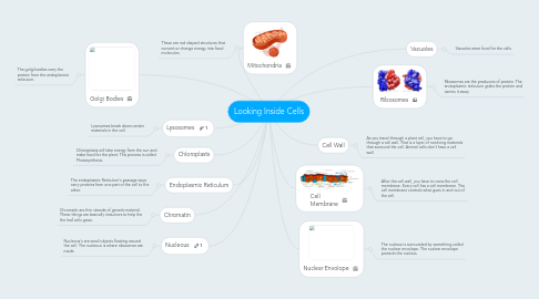 Mind Map: Looking Inside Cells