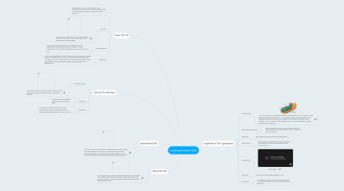 Mind Map: Looking Inside Cells