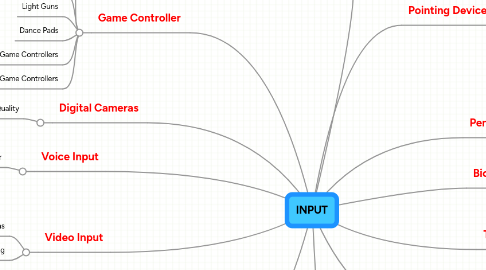 Mind Map: INPUT