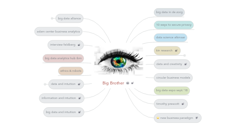 Mind Map: Big Brother