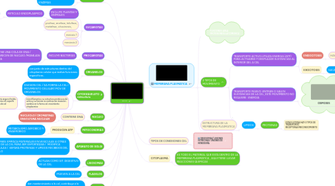 Mind Map: CELULA