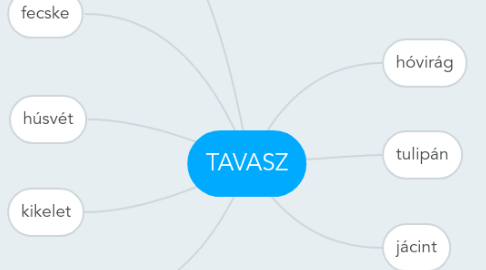 Mind Map: TAVASZ