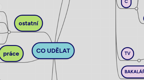 Mind Map: CO UDĚLAT