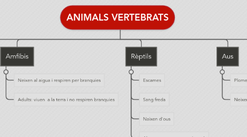 Mind Map: ANIMALS VERTEBRATS
