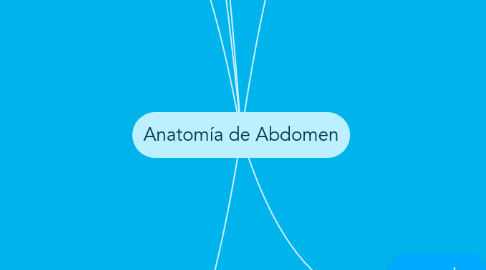 Mind Map: Anatomía de Abdomen